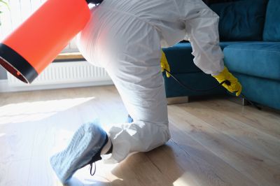 Commercial Fumigation in Long Island, NY