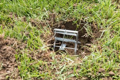 Method for Pest Control